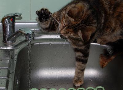 Прикрепленное изображение: 0005cr1.jpg